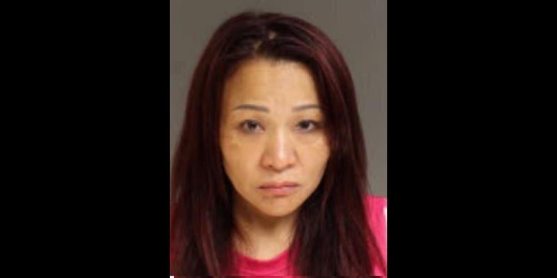 纽约华女涉卖淫案被捕并遭ICE拘押 州警：未来数周将逮捕多名买春男