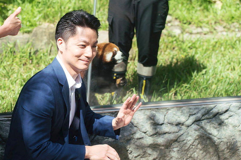 上海2小猫熊台北亮相 「吃货」乐乐超亲人、甜甜谨慎害羞