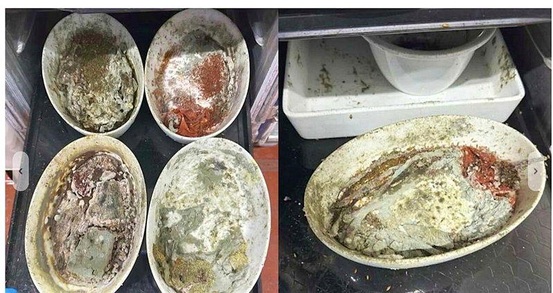 蛆虫、霉菌及蟑螂 洛多航班餐具爆食安危机