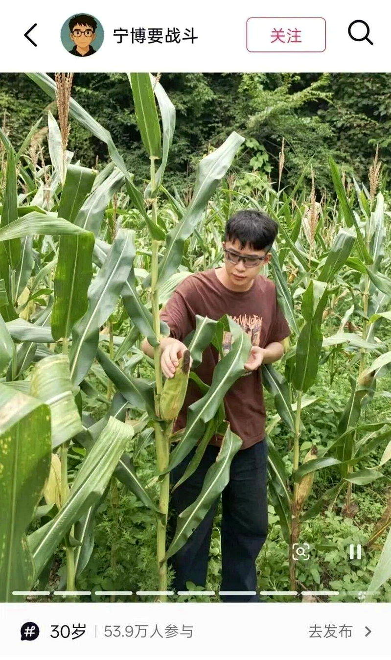 在职1137天终弃百万年薪 华为天才少年回村卖玉米