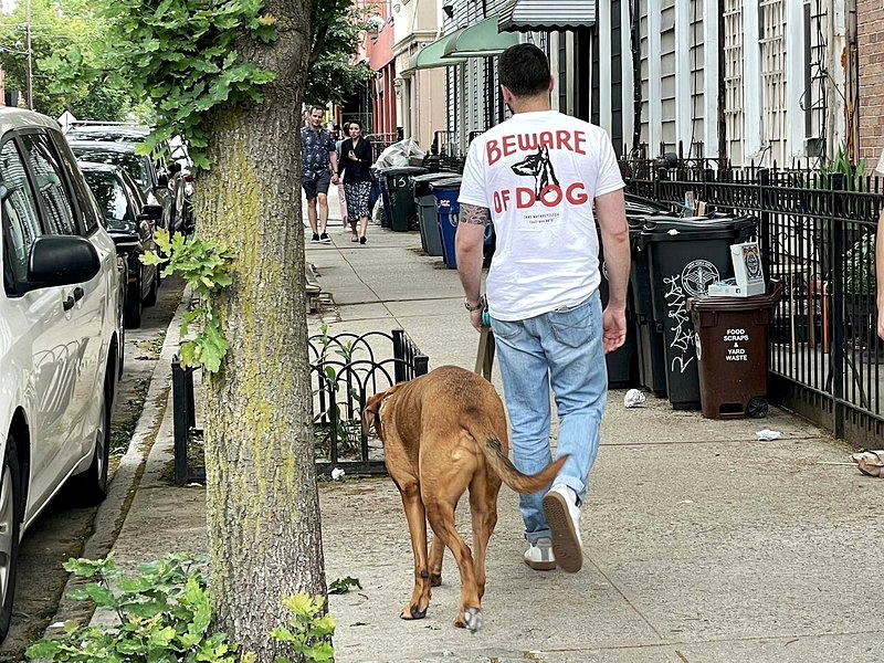 狗便袋也由公帑埋单…纽约市修法 加强取缔未清犬粪乱象
