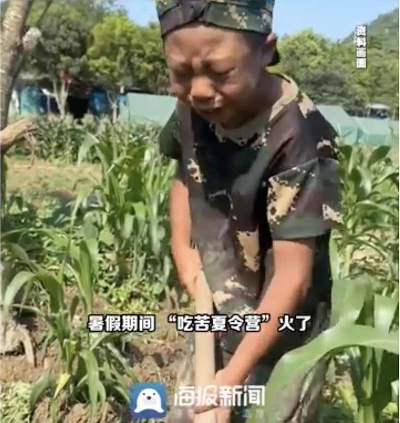 中国「吃苦夏令营」走红 家长抢着花钱送孩子去砍柴喂猪