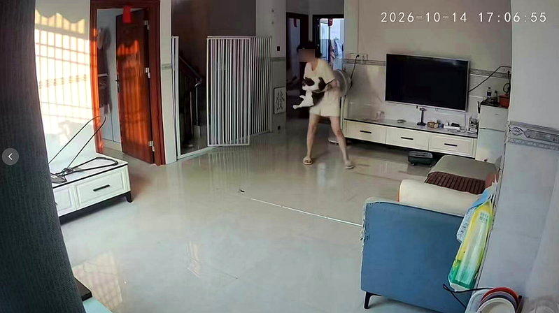 惠州女子遭家猫踹击后卵巢囊肿破裂，接受急诊手术后出院