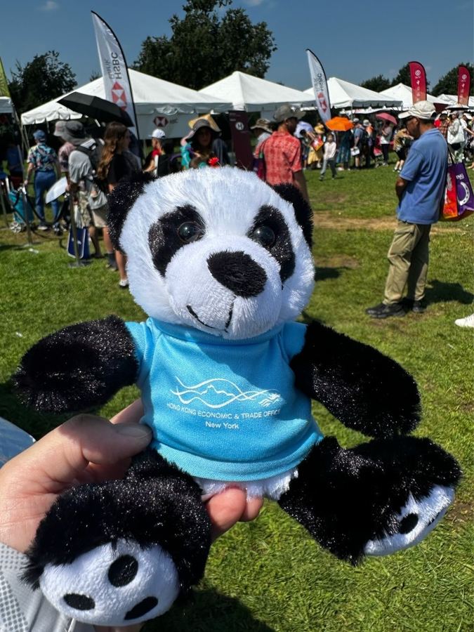 纽约龙舟节 又到了纽约龙舟节的时间，可惜周五下了雨，草地上好多泥...